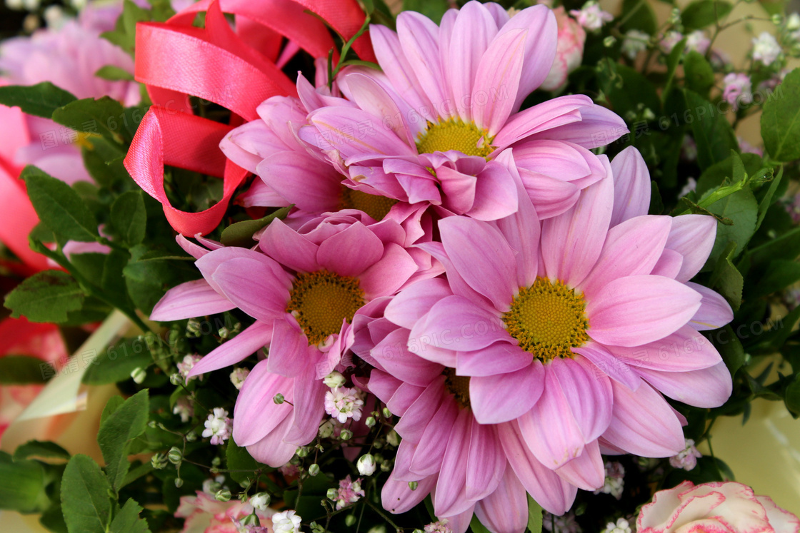 花束里搭配的粉色花朵摄影高清图片