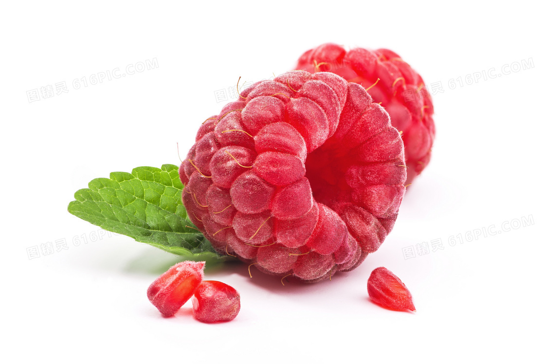 红彤彤的水润树莓特写摄影高清图片