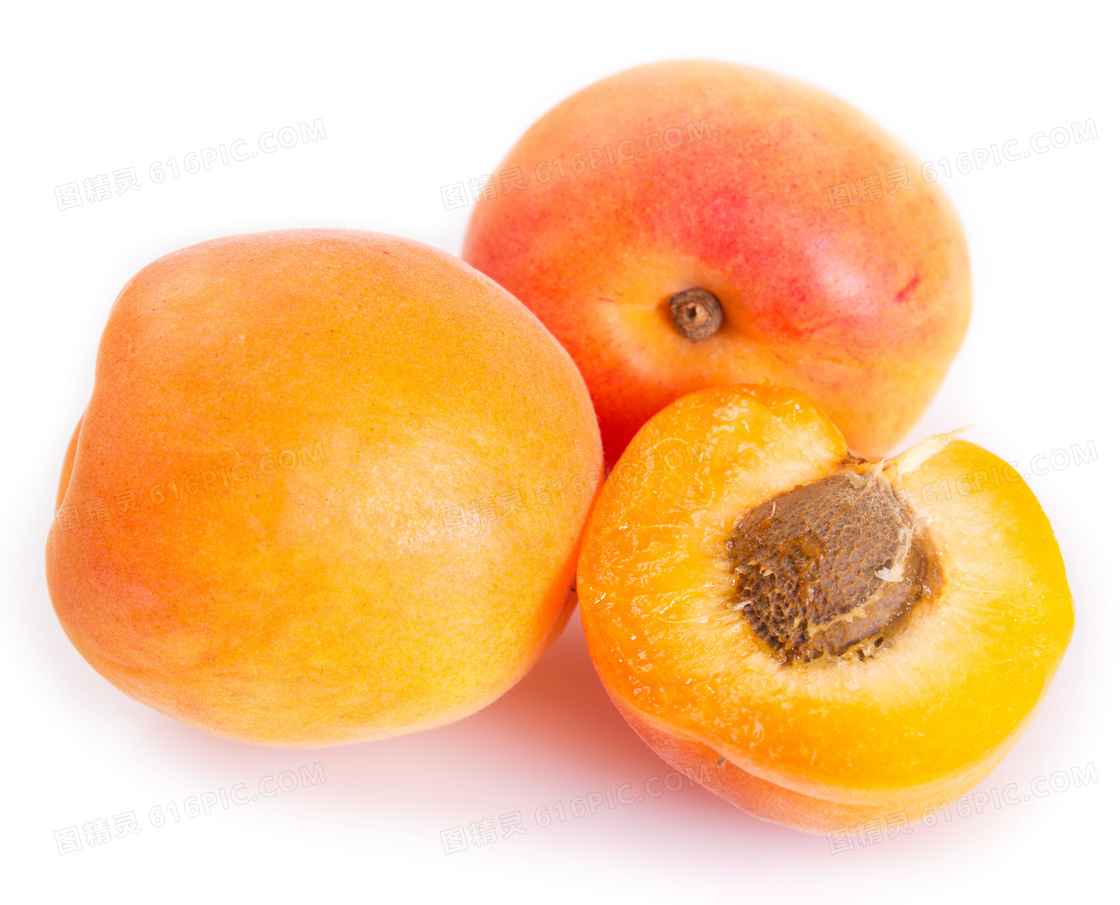 杏的品种 - 花百科