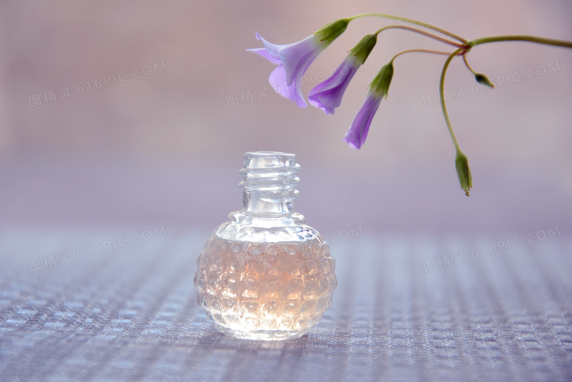 被香水熏着的紫色鲜花摄影高清图片