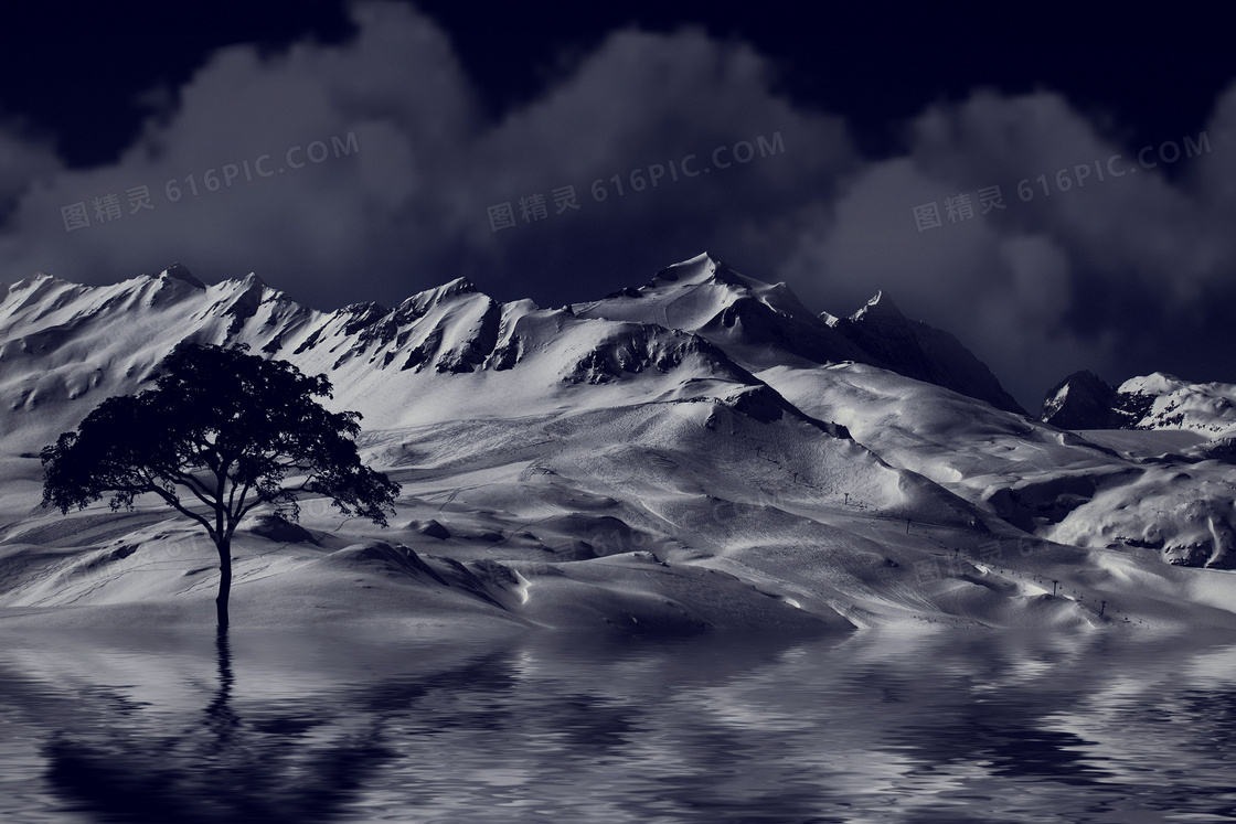 夜晚时分雪山大树黑白摄影高清图片