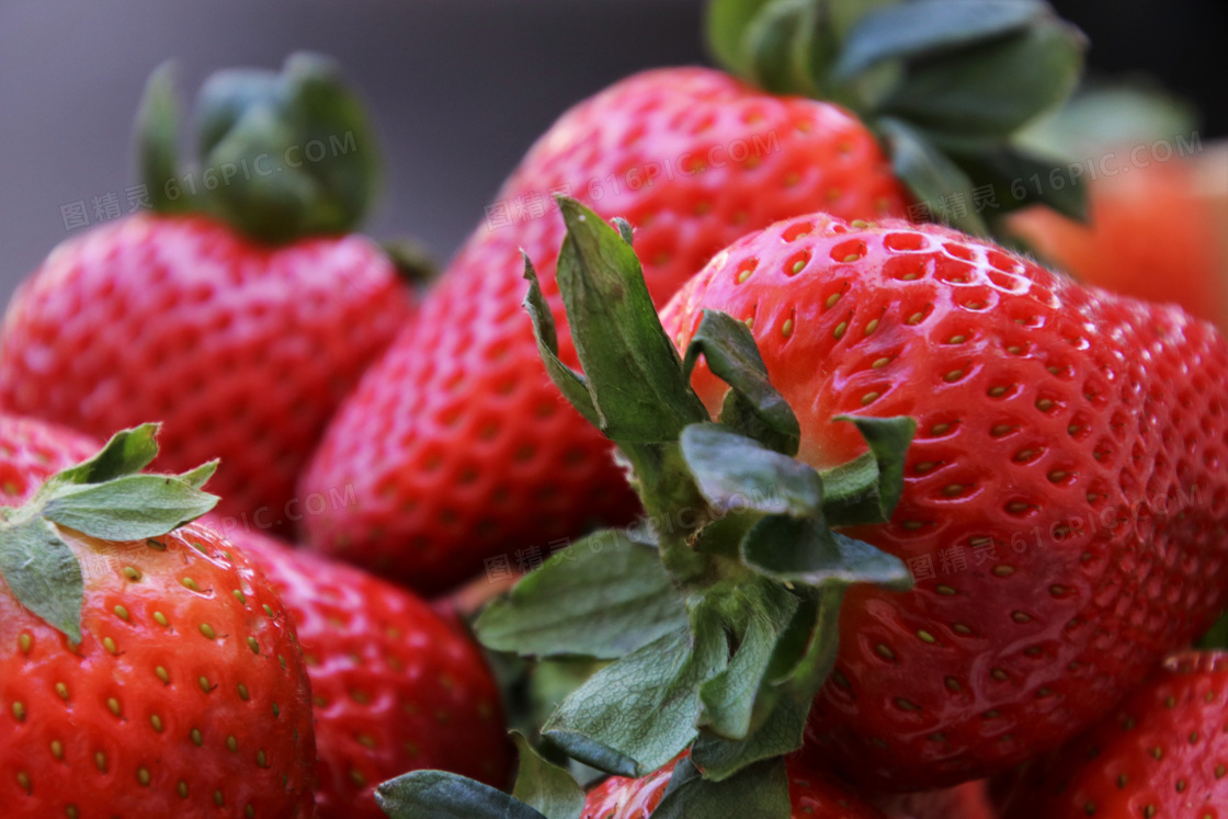 几个红彤彤的新鲜草莓摄影高清图片