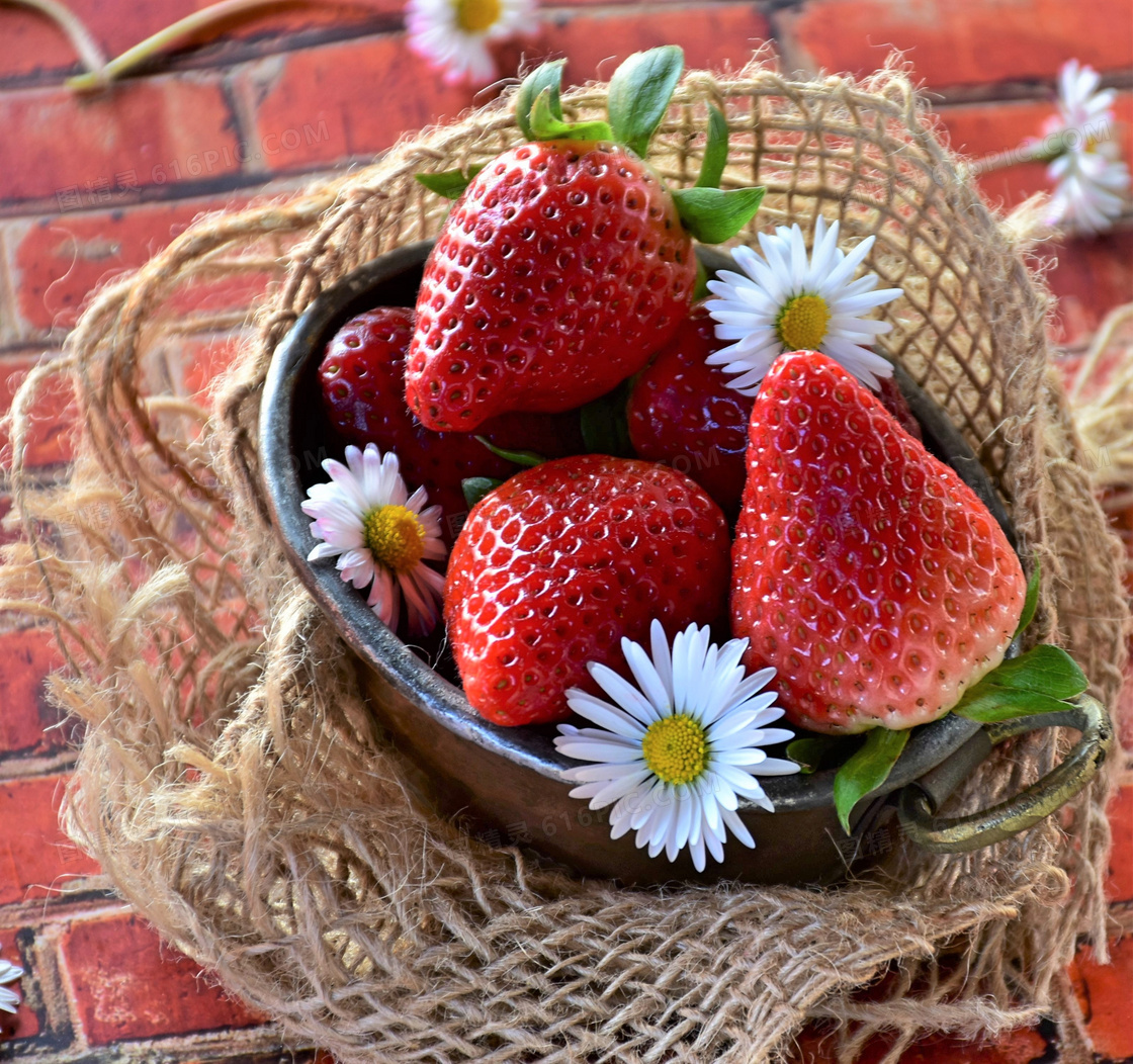 白色鲜花与新鲜的草莓摄影高清图片