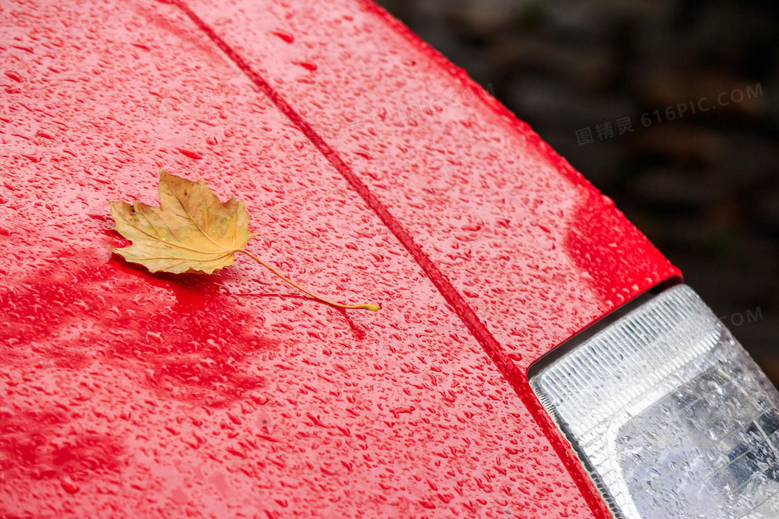 雨天落到汽车上的枯叶摄影高清图片