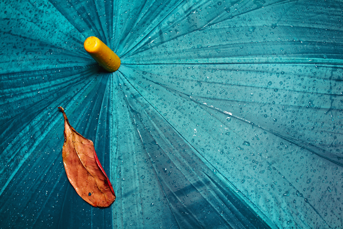 雨天落在雨伞上的枯叶摄影高清图片