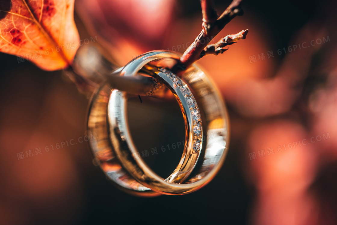 挂在树枝上的结婚戒指摄影高清图片