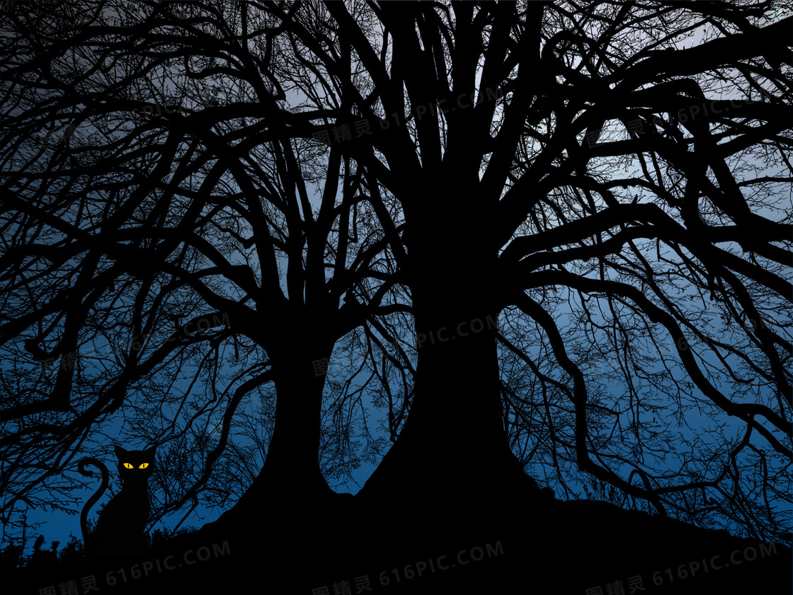 百年大树与树下的黑猫剪影高清图片