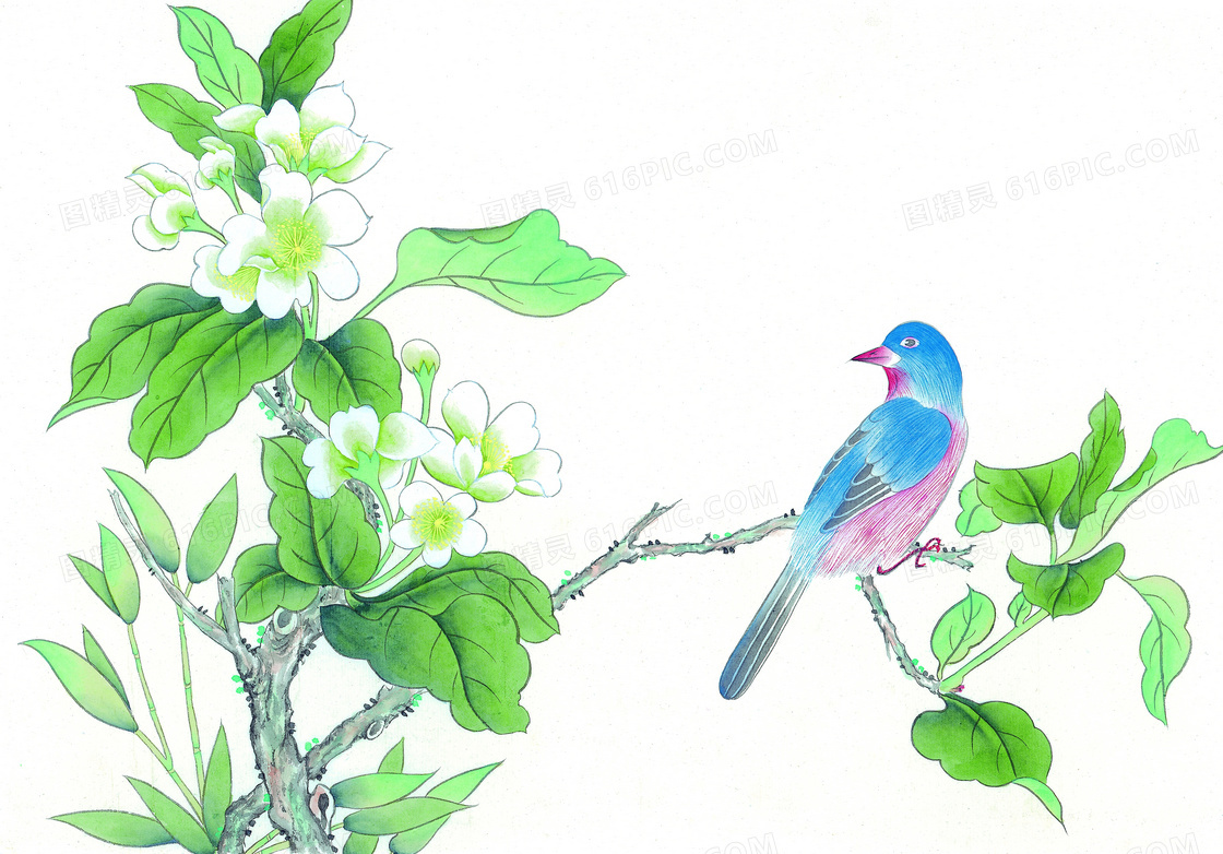 绿叶枝头上的小鸟绘画创意高清图片