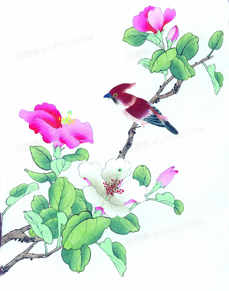 枝头上的花朵小鸟绘画创意高清图片