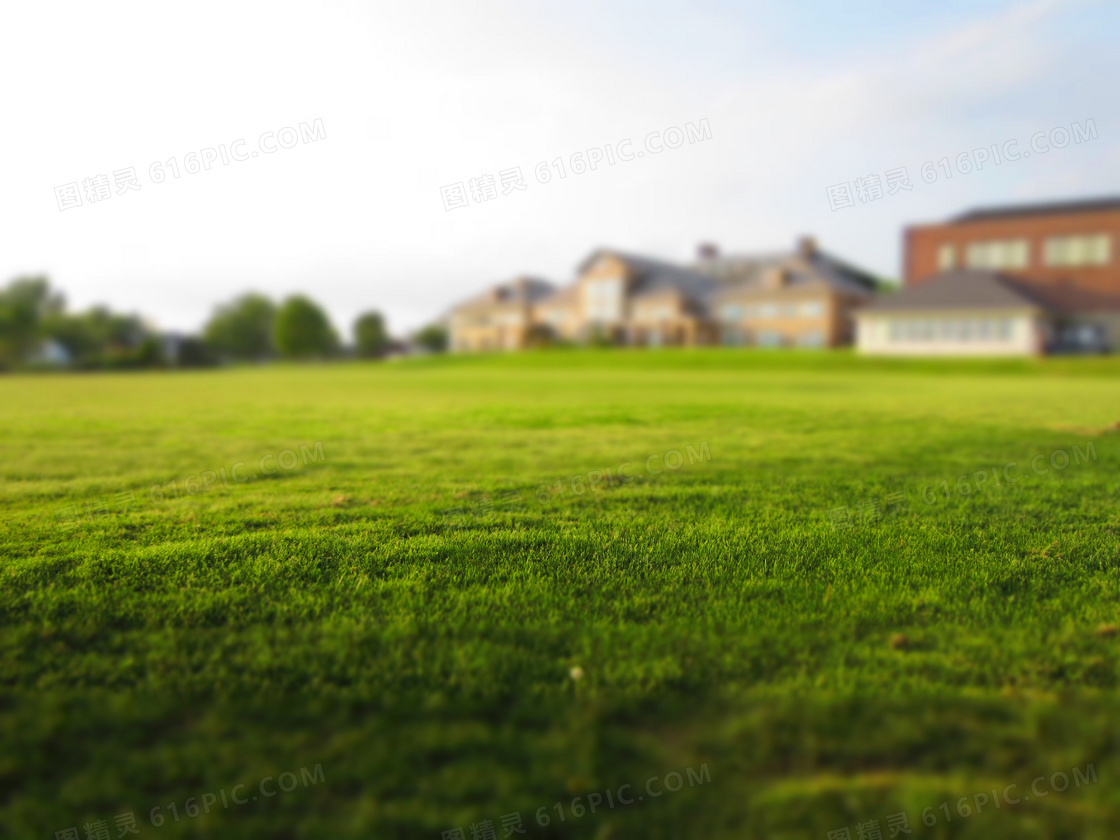 在房子前面的大片草坪摄影高清图片