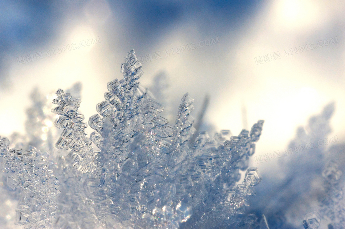 遇冷结晶成的雪花微距摄影高清图片