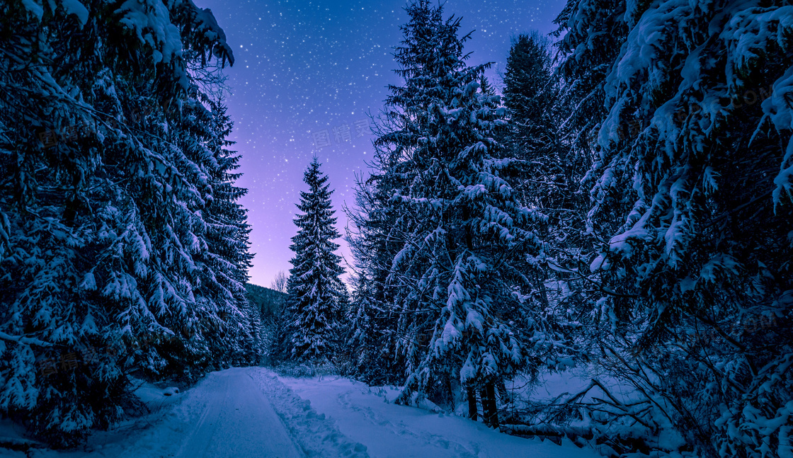 道路与满是白雪的树林摄影高清图片