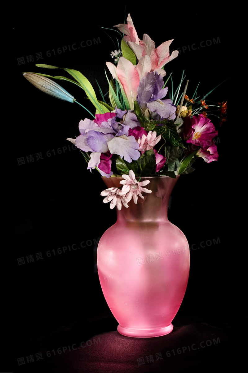 粉色花瓶中的鲜花特写摄影高清图片