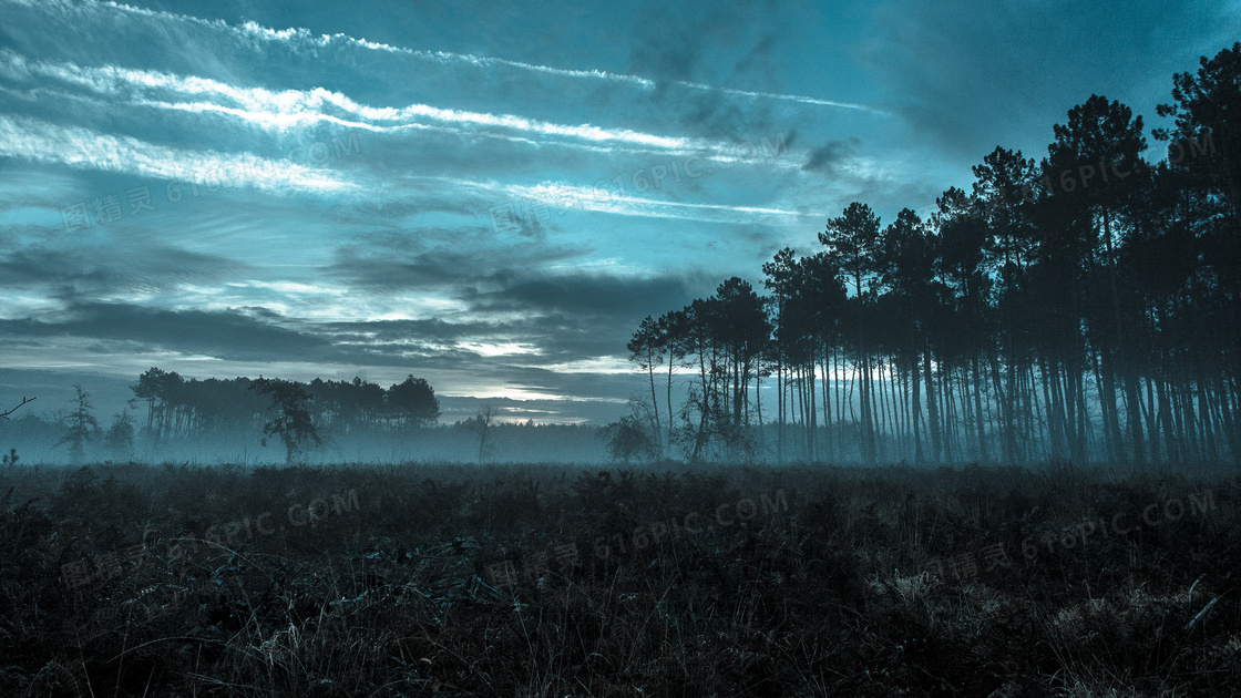 傍晚雾气弥漫着的树林摄影高清图片