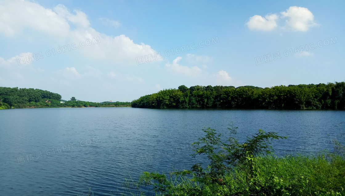 公园中的美丽湖泊高清摄影图片