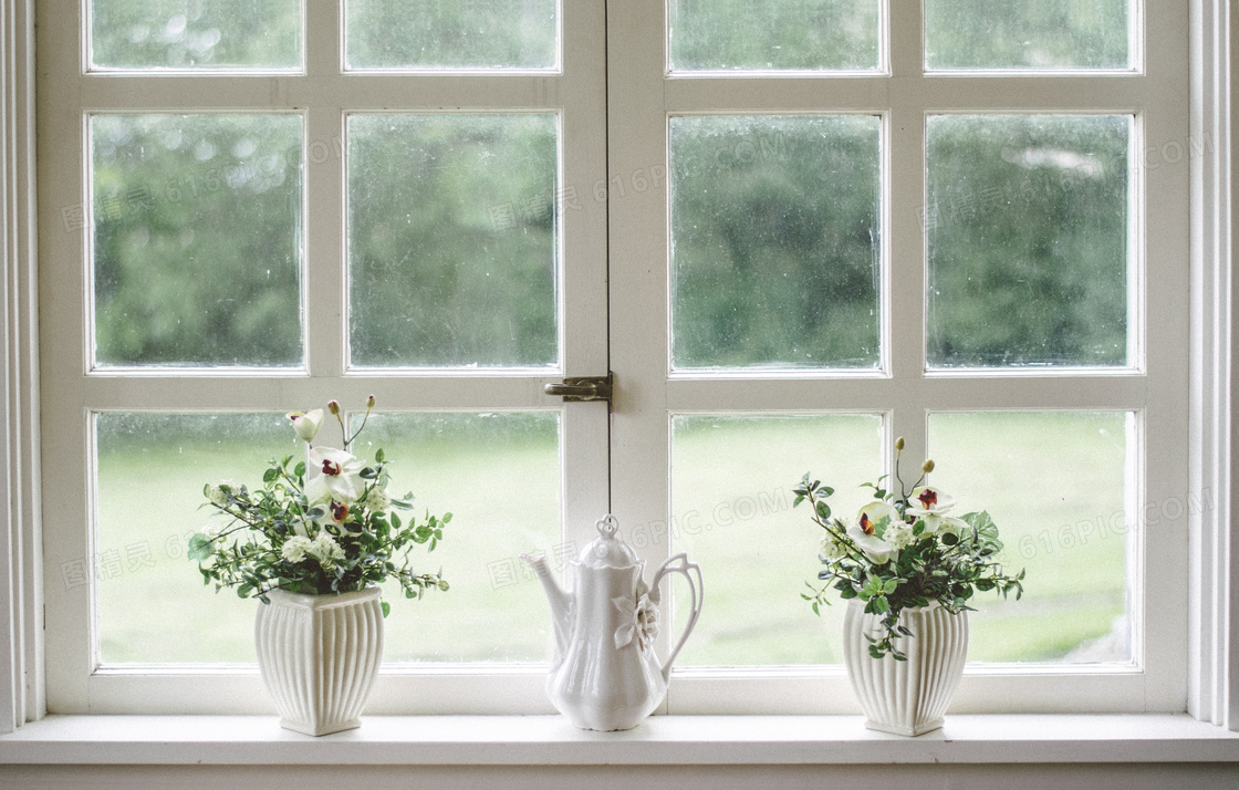 室内窗台上的植物特写摄影高清图片