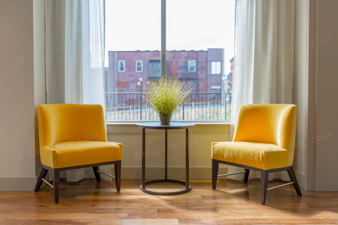靠窗绿植与黄色的沙发摄影高清图片