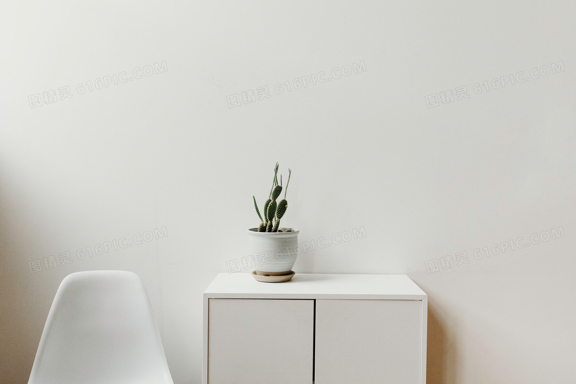 椅子与桌面上的仙人掌植物高清图片