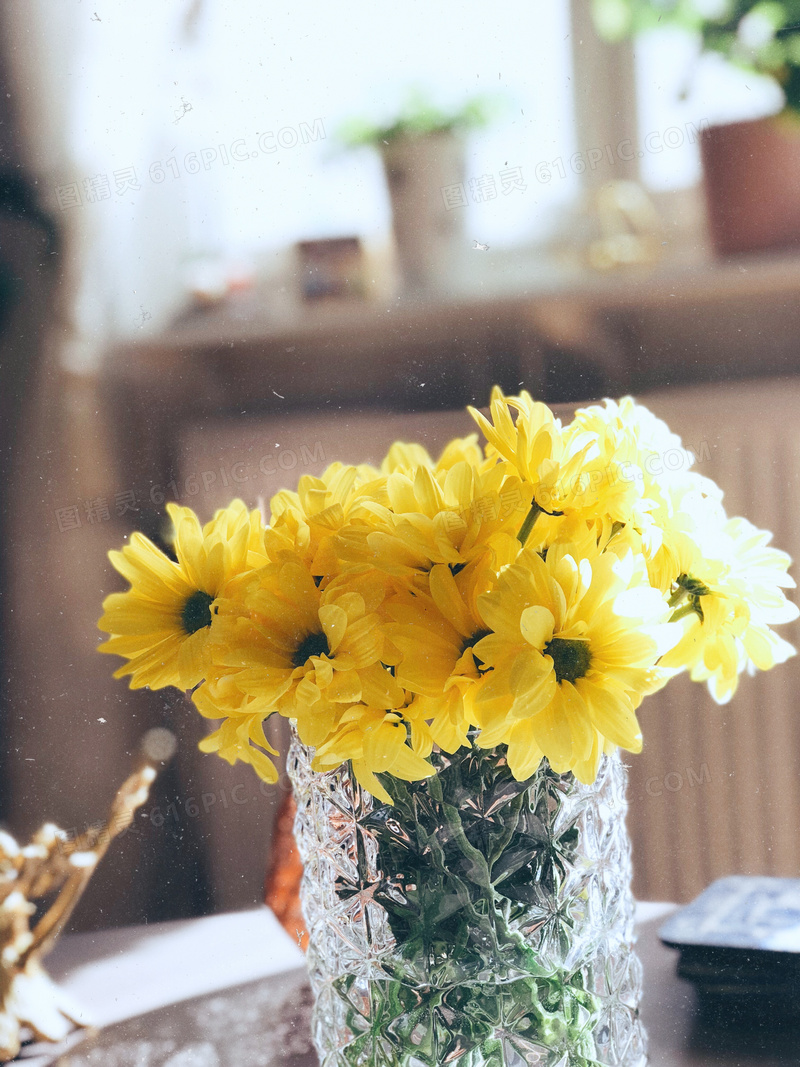玻璃材质瓶中的小菊花摄影高清图片