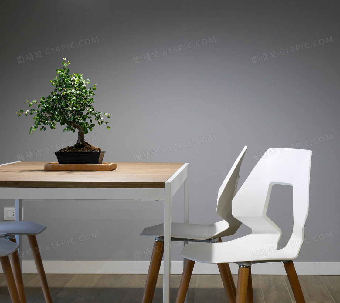 放在餐桌上的盆栽植物摄影高清图片