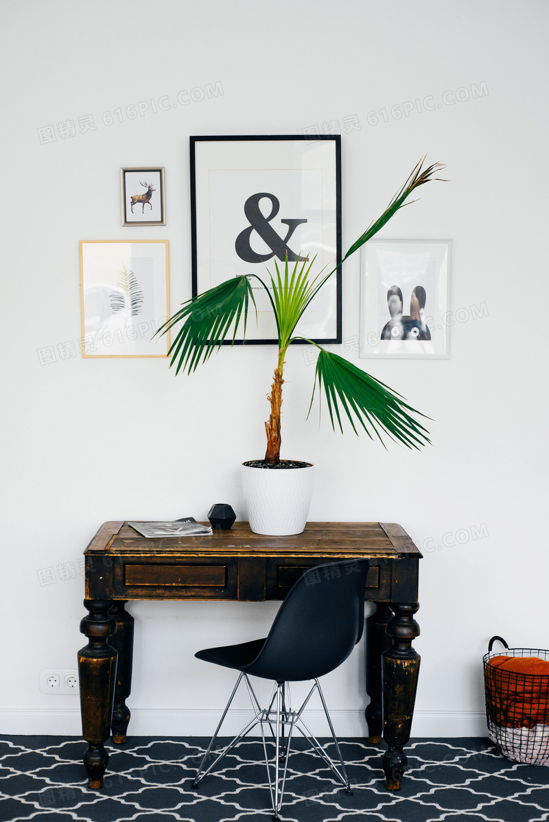 桌椅植物与墙上的挂画摄影高清图片