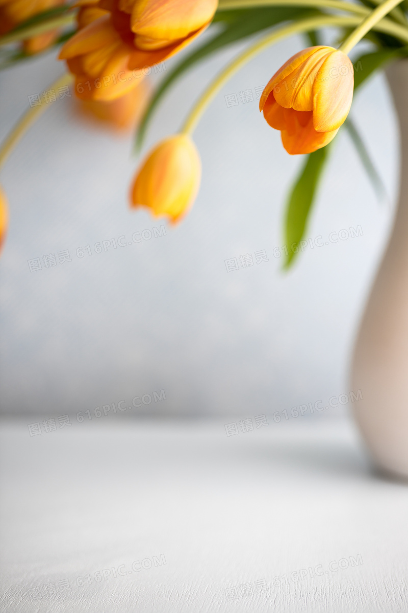 花瓶里的郁金香花特写摄影高清图片
