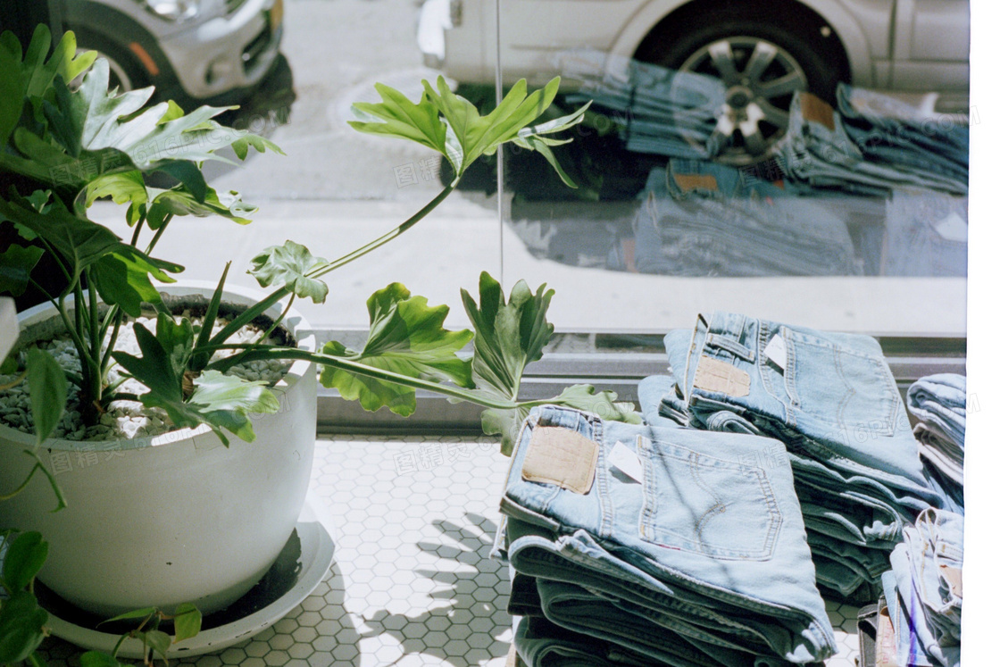 绿植与叠放好的牛仔裤摄影高清图片