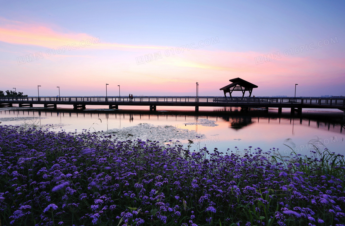 阳澄湖半岛旅游度假区摄影图片