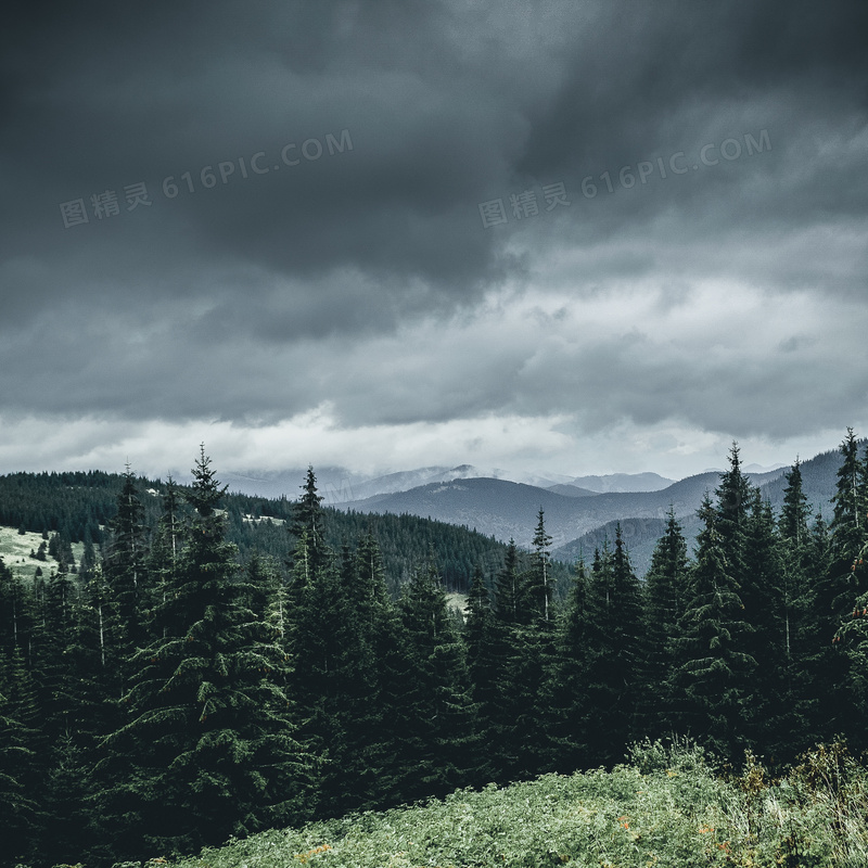 乌云树林与远处的山峦摄影高清图片