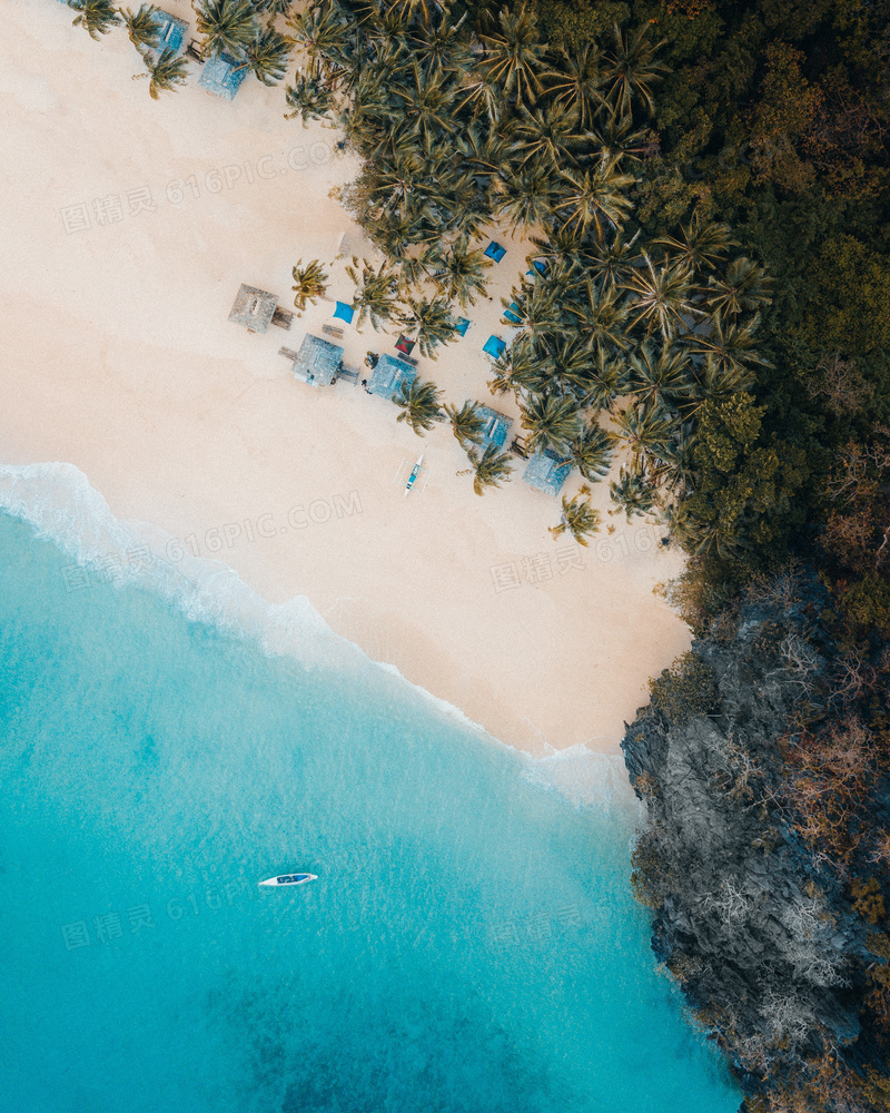 碧海沙滩椰树自然风景摄影高清图片