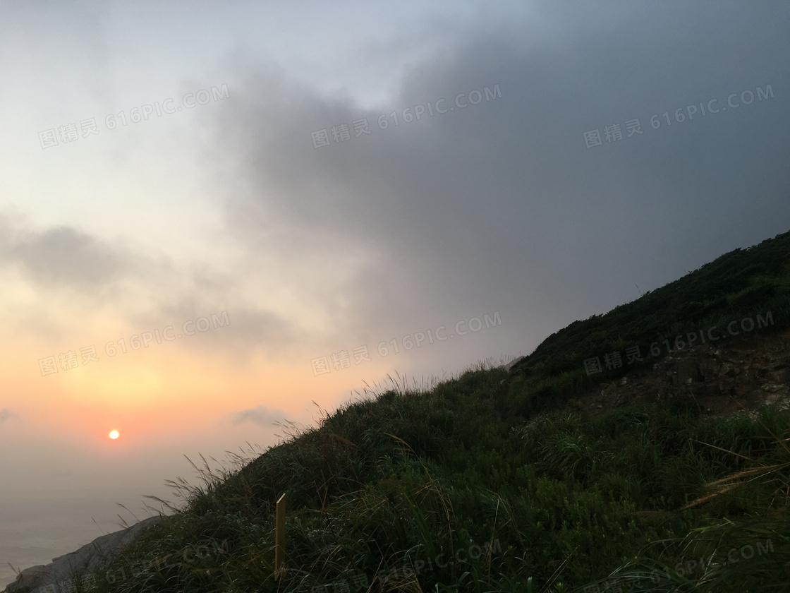 山坡植物与在朝霞中的太阳高清图片