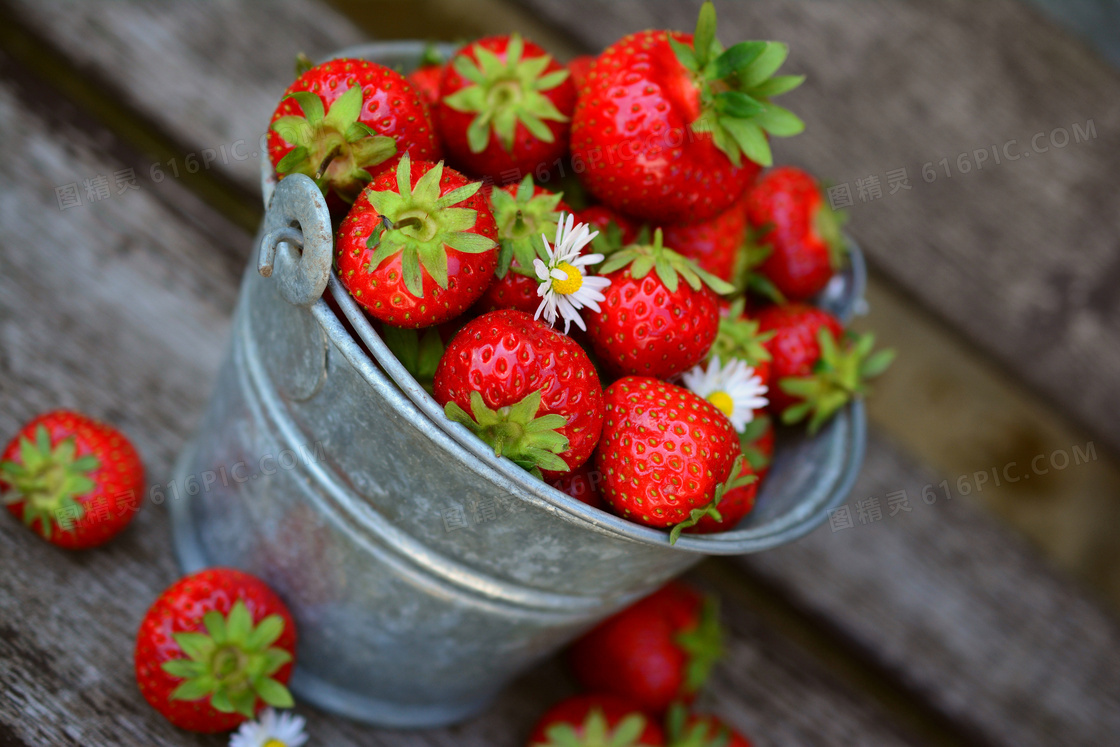 在桶里的新鲜草莓特写摄影高清图片