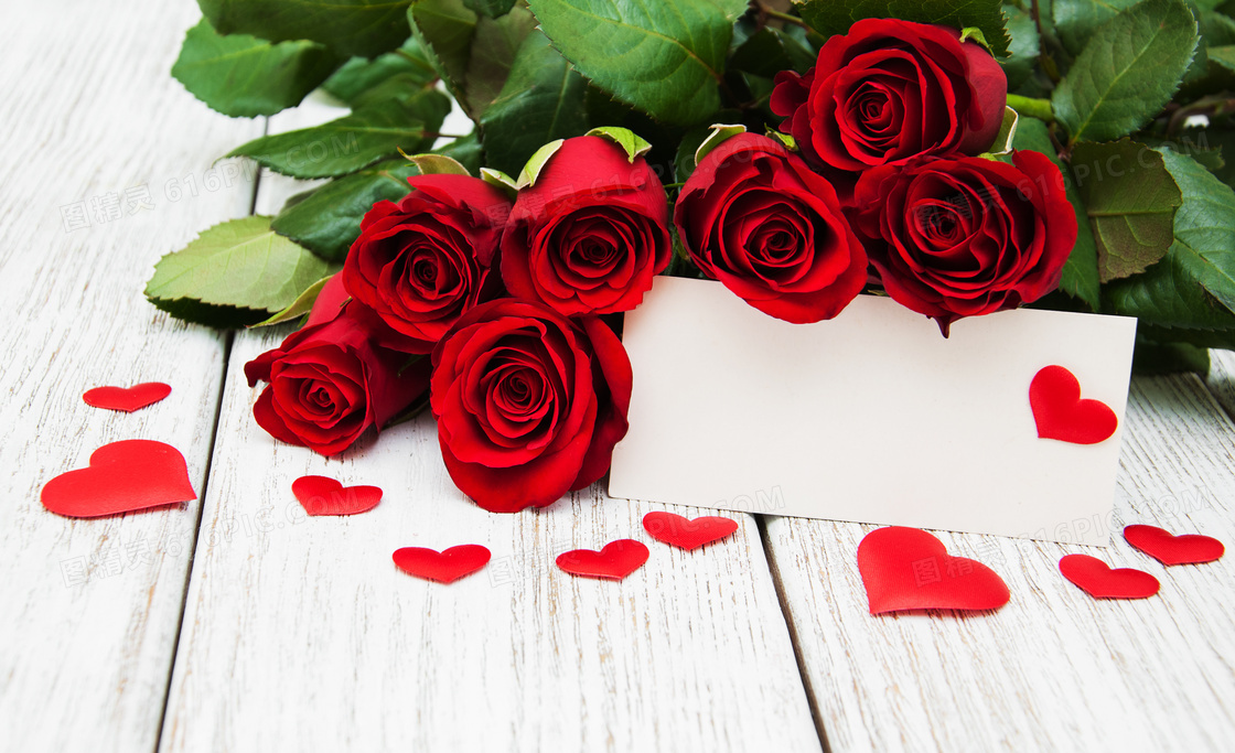 红玫瑰花与空白的卡片摄影高清图片