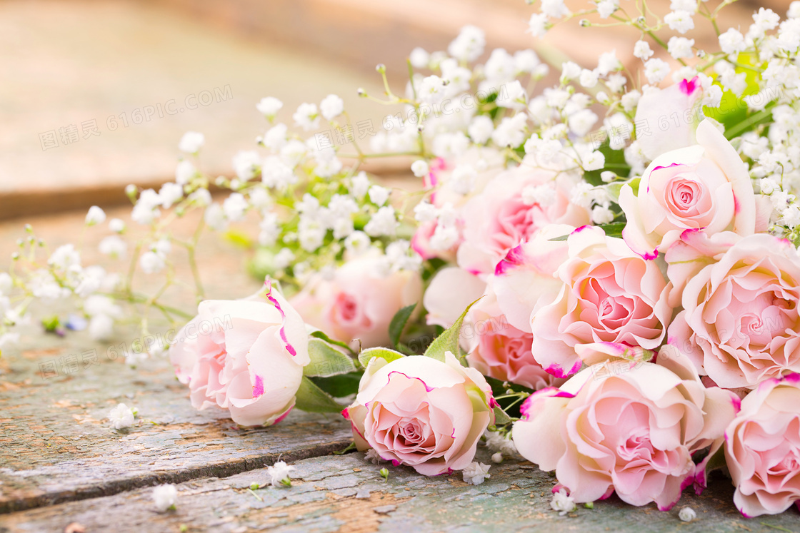 白色小花与粉色的玫瑰摄影高清图片