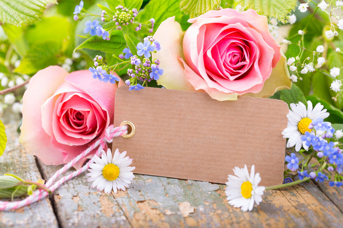 雏菊玫瑰花与纸质吊牌摄影高清图片