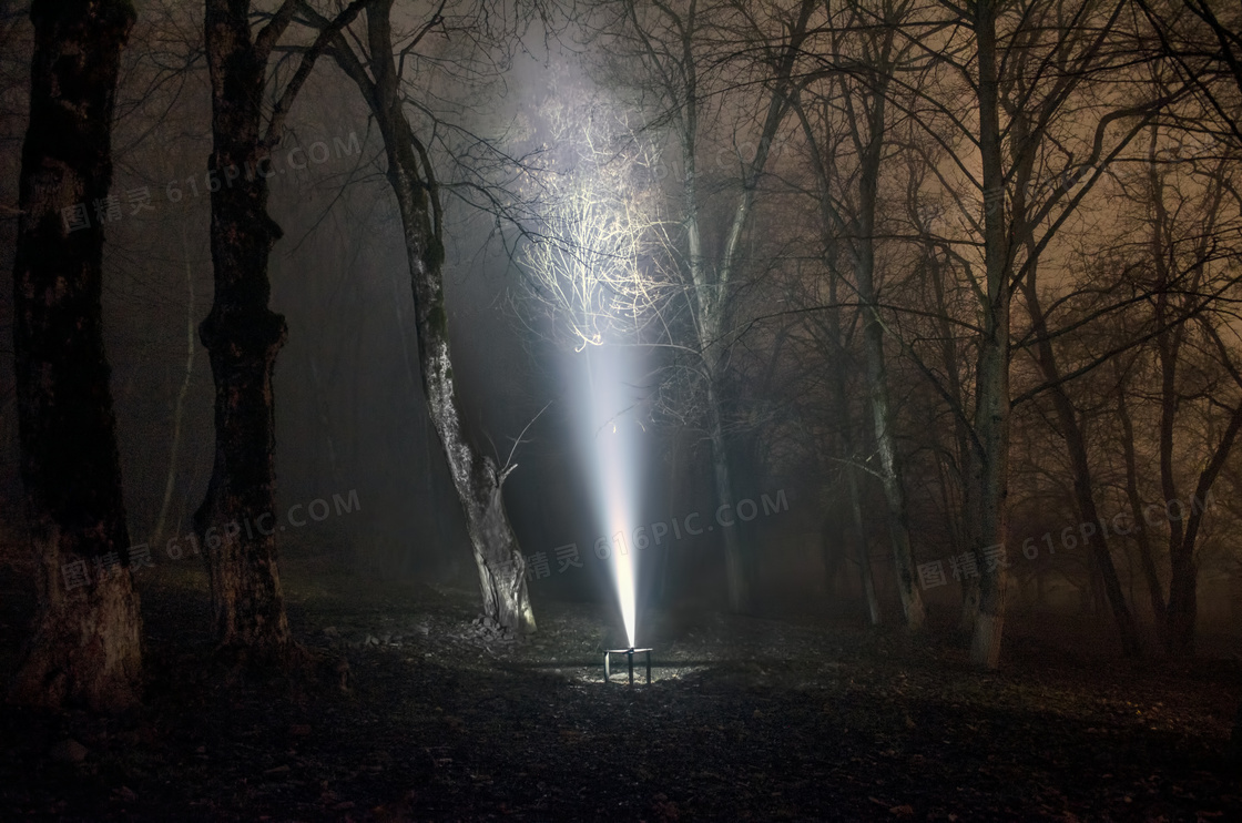 夜晚树林中耀眼的光束摄影高清图片