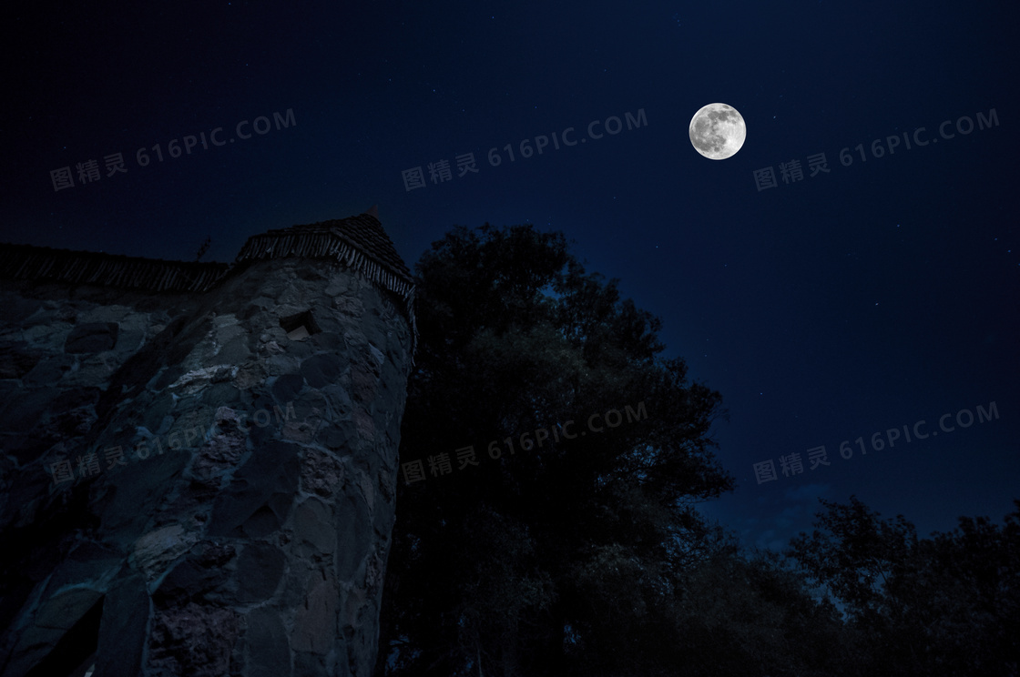圆月树木与砖石建筑物夜景高清图片