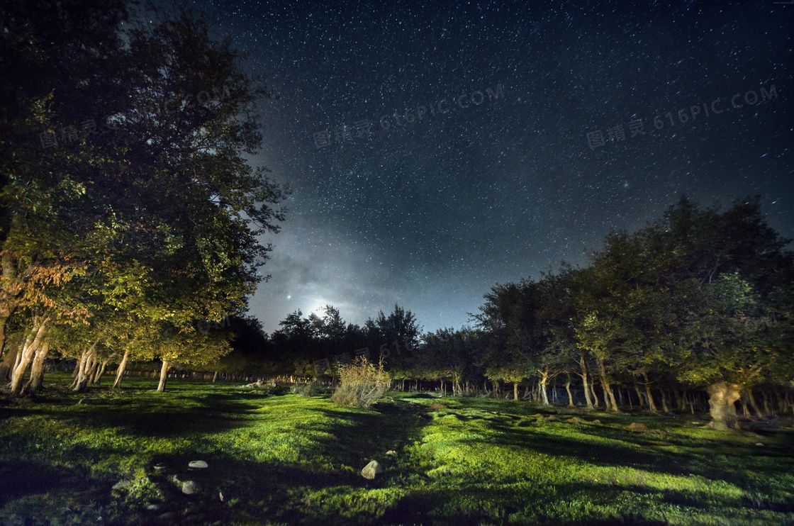 树林草地与满天的繁星摄影高清图片