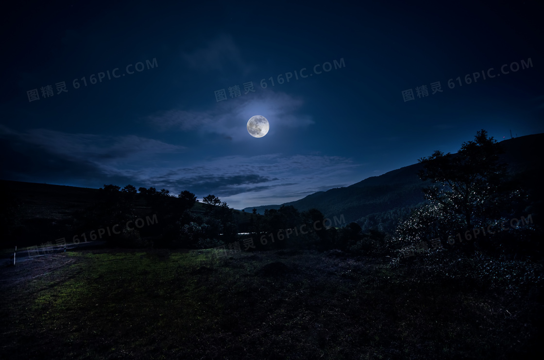 山间树木与挂在空中的月亮高清图片