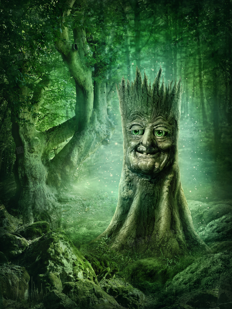 树林中的人面树木创意设计高清图片