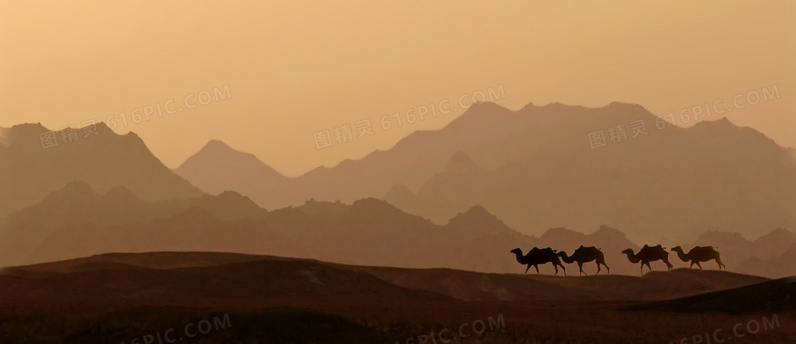 骆驼剪影与远处的山峦摄影高清图片