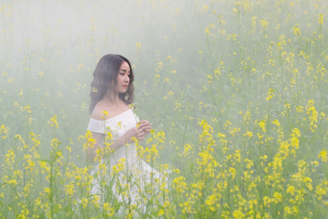 油菜花丛中的秀发美女摄影高清图片