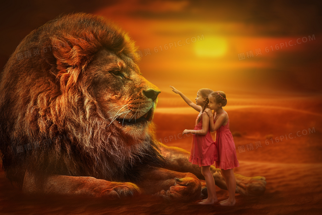 站在狮子面前的小女孩摄影高清图片
