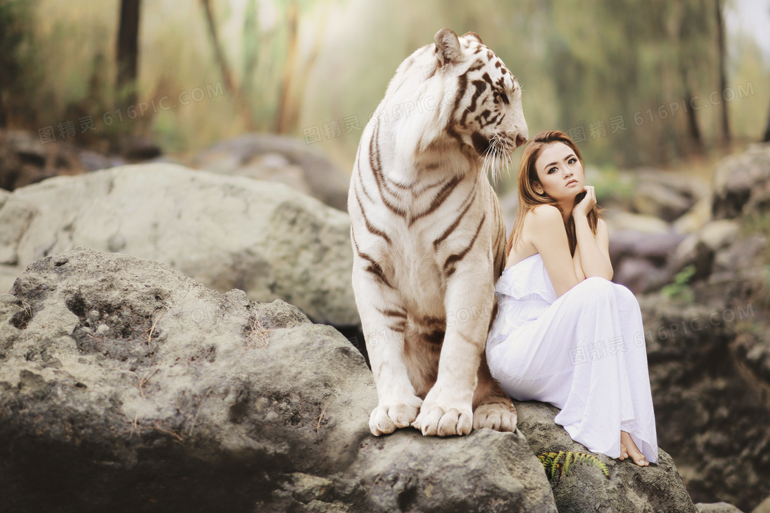 与老虎一起坐在石头的美女高清图片