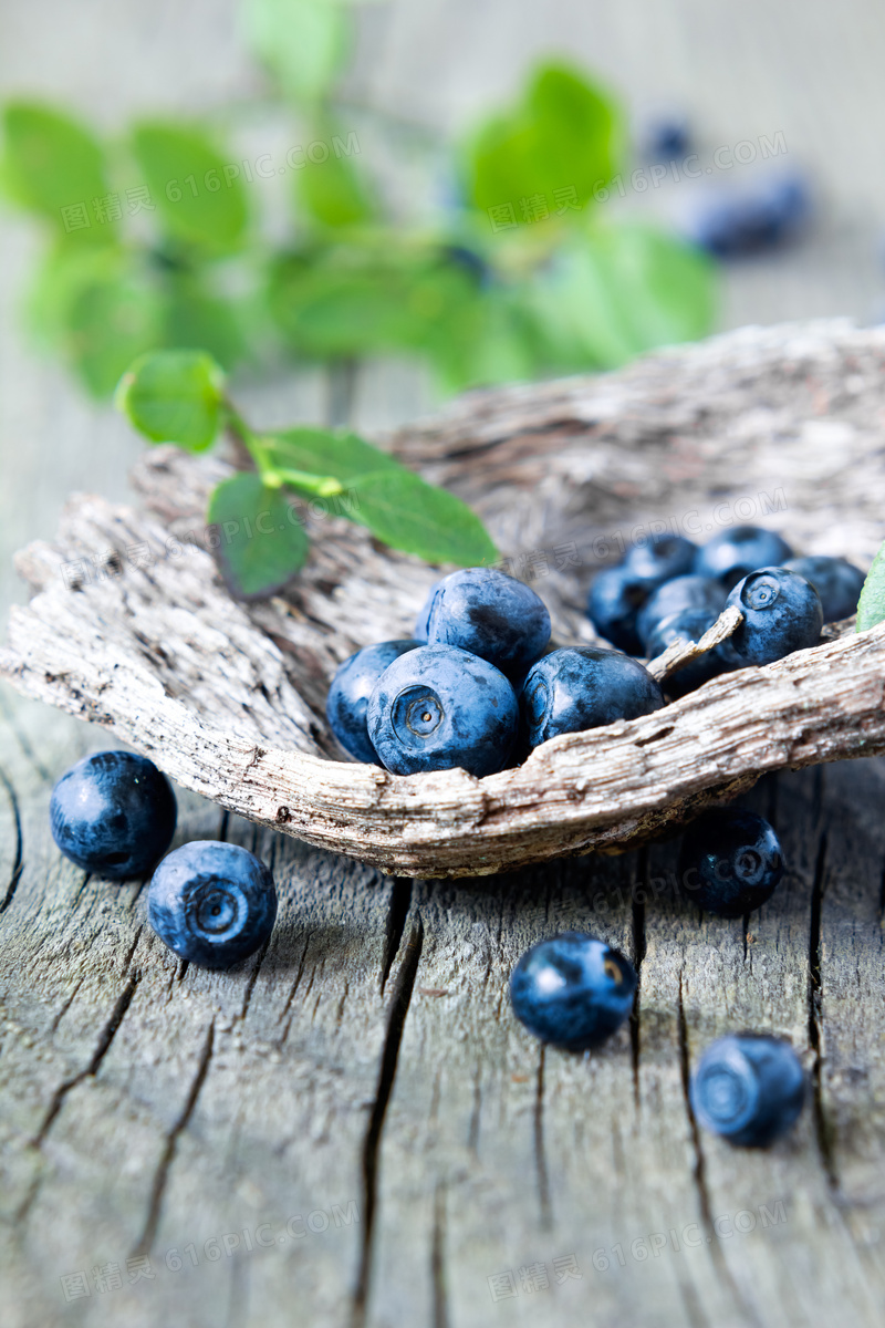 枯木与采摘下来的蓝莓特写高清图片