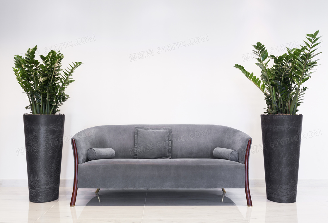 沙发枕头与绿色植物等摄影高清图片