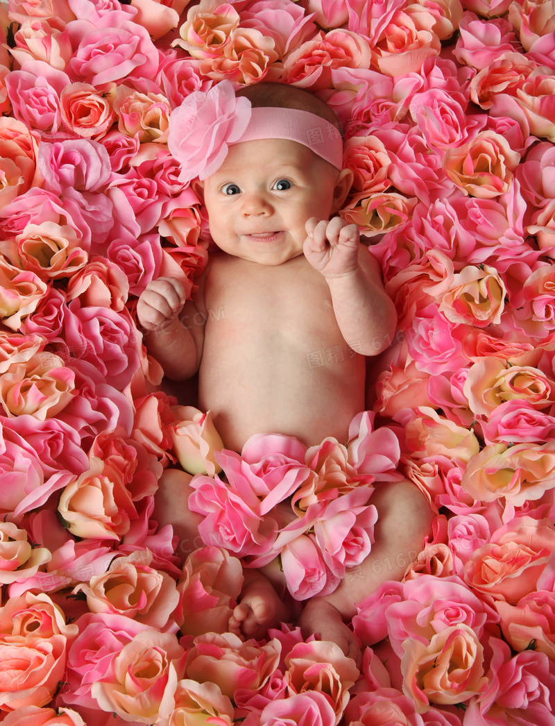 鲜花上躺着的逗趣宝宝摄影高清图片