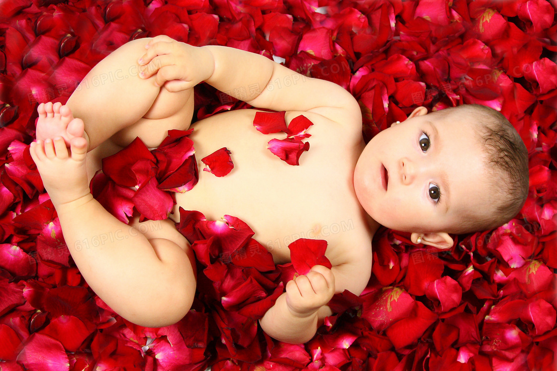 花瓣上躺着的可爱宝宝摄影高清图片