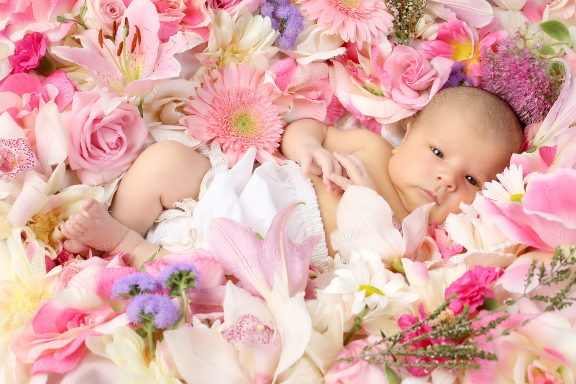 躺在多种鲜花上的宝宝摄影高清图片