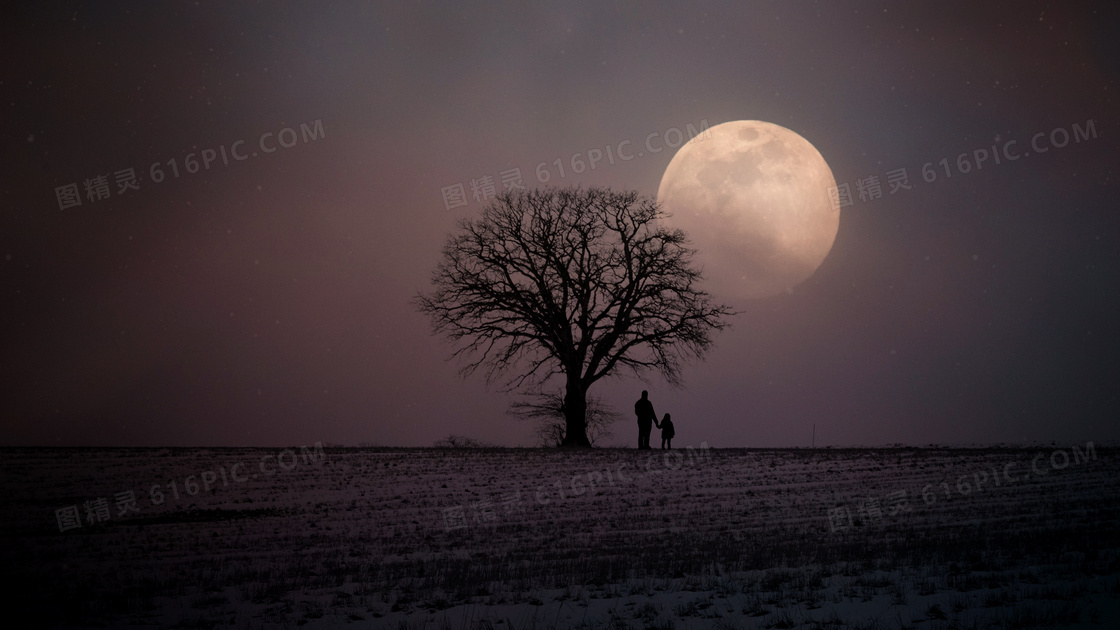 夜晚站在树下的父女俩摄影高清图片